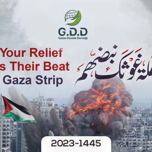 غزة…غوثك نبضهم