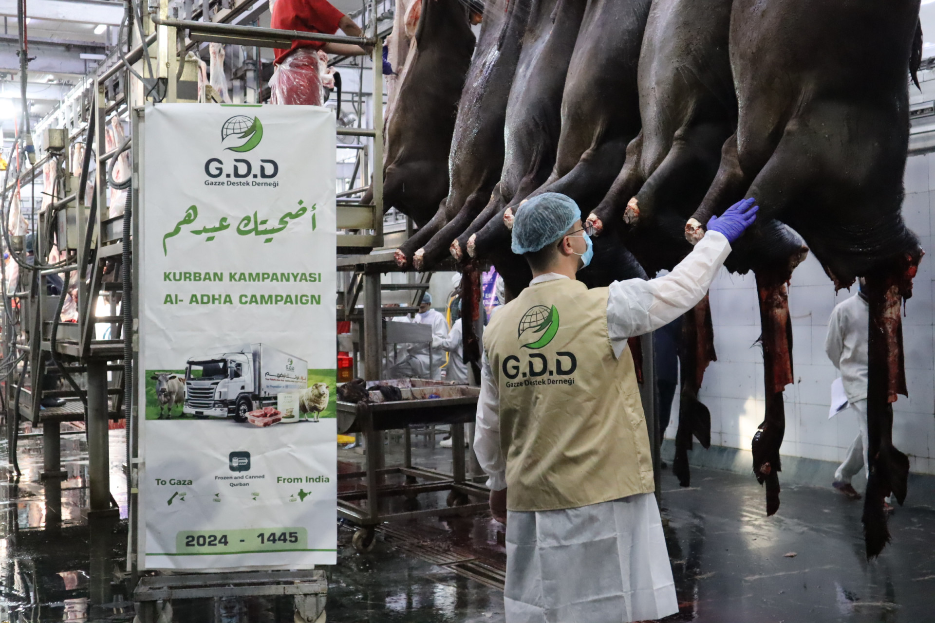 Qurban Campaign Harvest 2024 – 1445