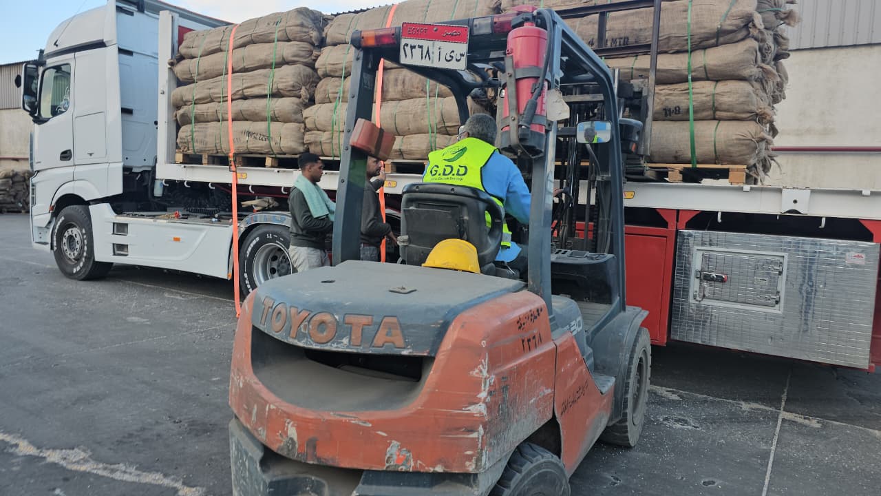 GDD is preparing to dispatch trucks loaded with tents to the Rafah crossing