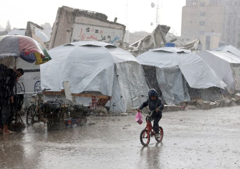 WhatsApp Image 2026-01-12 at 11.12.04 AM